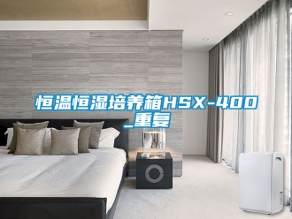 知识百科恒温恒湿培养箱HSX-400_重复