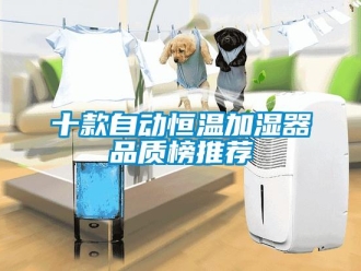 知识百科十款自动恒温加湿器品质榜推荐