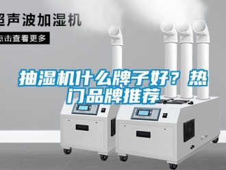 企业动态抽湿机什么牌子好？热门品牌推荐