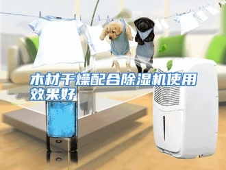 行业资讯木材干燥配合除湿机使用效果好