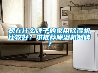企业动态现在什么牌子的家用除湿机比较好？求推荐除湿机品牌？