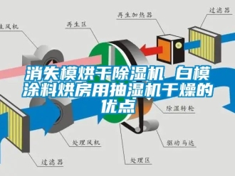 行业资讯消失模烘干除湿机 白模涂料烘房用抽湿机干燥的优点