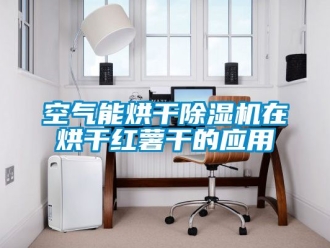 行业资讯空气能烘干除湿机在烘干红薯干的应用