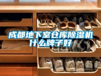 企业动态成都地下室仓库除湿机什么牌子好