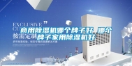 商用除湿机哪个牌子好 哪个牌子家用除湿机好