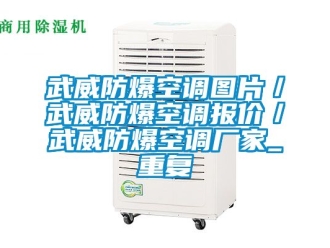 企业动态武威防爆空调图片／武威防爆空调报价／武威防爆空调厂家_重复