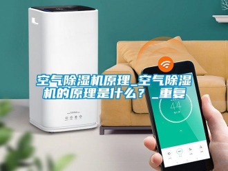 行业资讯空气除湿机原理_空气除湿机的原理是什么？_重复