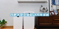 合肥大型工业移动式除湿机