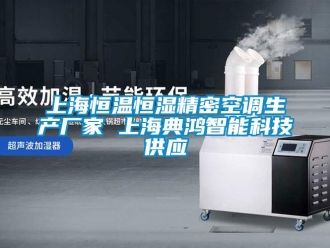 知识百科上海恒温恒湿精密空调生产厂家 上海典鸿智能科技供应