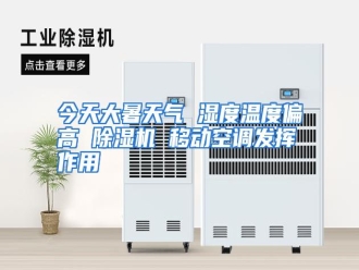 行业资讯今天大暑天气 湿度温度偏高 除湿机 移动空调发挥作用