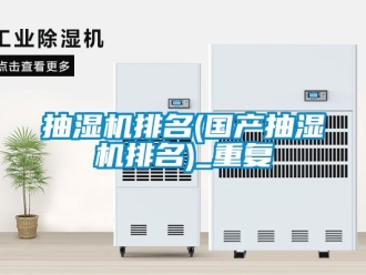 企业动态抽湿机排名(国产抽湿机排名)_重复