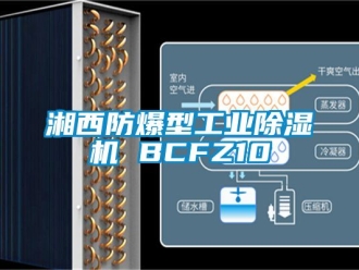 企业动态湘西防爆型工业除湿机 BCFZ10