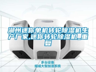 企业动态湖州迷你单机转轮除湿机生产厂家,迷你转轮除湿机_重复