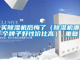 行业资讯买除湿机后悔了（除湿机哪个牌子好性价比高）_重复