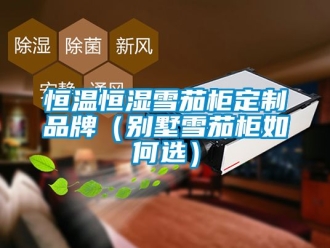 知识百科恒温恒湿雪茄柜定制品牌（别墅雪茄柜如何选）