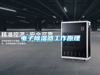 行业资讯电子除湿器工作原理