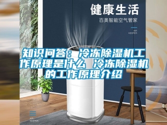 行业资讯知识问答：冷冻除湿机工作原理是什么 冷冻除湿机的工作原理介绍