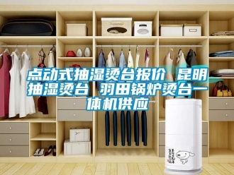 企业动态点动式抽湿烫台报价 昆明抽湿烫台 羽田锅炉烫台一体机供应