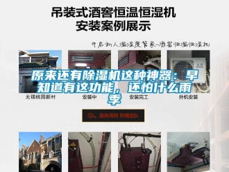 行业资讯原来还有除湿机这种神器：早知道有这功能，还怕什么雨季