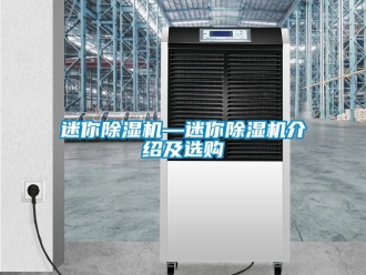 行业资讯迷你除湿机—迷你除湿机介绍及选购