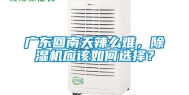 广东回南天辣么难，除湿机应该如何选择？