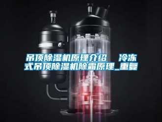 行业资讯吊顶除湿机原理介绍  冷冻式吊顶除湿机除霜原理_重复