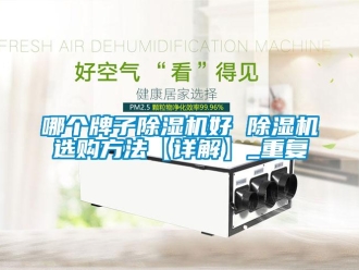 行业资讯哪个牌子除湿机好 除湿机选购方法【详解】_重复