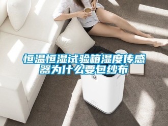 知识百科恒温恒湿试验箱湿度传感器为什么要包纱布