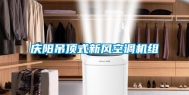 庆阳吊顶式新风空调机组
