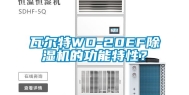 瓦尔特WD-20EF除湿机的功能特性？