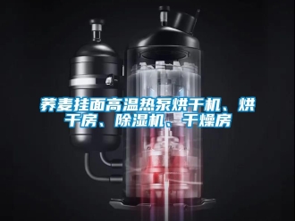 行业资讯荞麦挂面高温热泵烘干机、烘干房、除湿机、干燥房