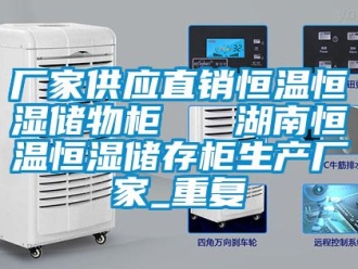 知识百科厂家供应直销恒温恒湿储物柜   湖南恒温恒湿储存柜生产厂家_重复