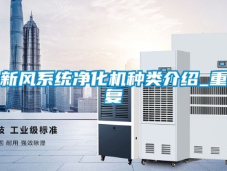 企业动态新风系统净化机种类介绍_重复