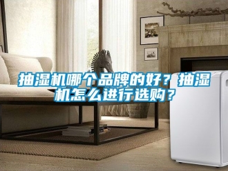 企业动态抽湿机哪个品牌的好？抽湿机怎么进行选购？