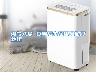 常见问题潮气入侵 受潮后家居用品如何处理