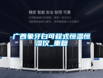 知识百科广西象牙白可程式恒温恒湿仪_重复