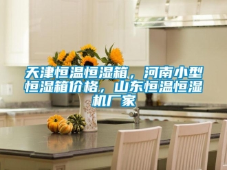 知识百科天津恒温恒湿箱，河南小型恒湿箱价格，山东恒温恒湿机厂家