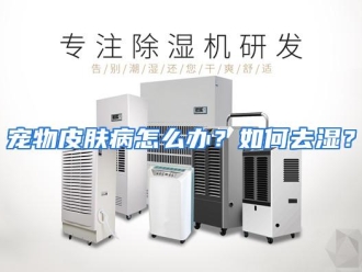 常见问题宠物皮肤病怎么办？如何去湿？