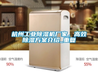 企业动态杭州工业除湿机厂家，高效除湿方案介绍_重复