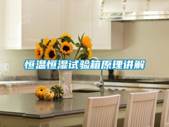 知识百科恒温恒湿试验箱原理讲解
