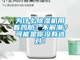 行业资讯为什么除湿机用着鸡肋？不解潮？可能是你没有选对！