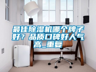行业资讯最佳除湿机哪个牌子好？品质口碑好人气高_重复