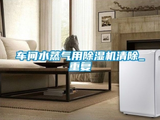 企业动态车间水蒸气用除湿机清除_重复