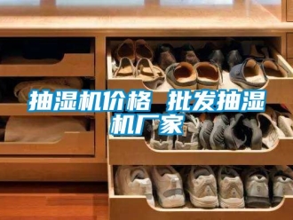 企业动态抽湿机价格 批发抽湿机厂家
