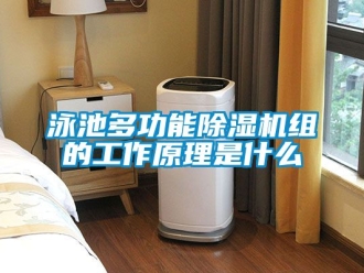 行业资讯泳池多功能除湿机组的工作原理是什么