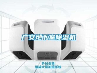 行业资讯广安地下室除湿机