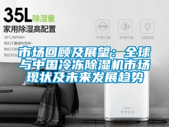 行业资讯市场回顾及展望：全球与中国冷冻除湿机市场现状及未来发展趋势