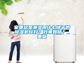 行业资讯家里总是潮湿用什么牌子的除湿机较好？效果如何？_重复