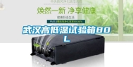 武汉高低温试验箱80L