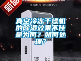 行业资讯真空冷冻干燥机的除湿效果不佳是为何？如何处理？